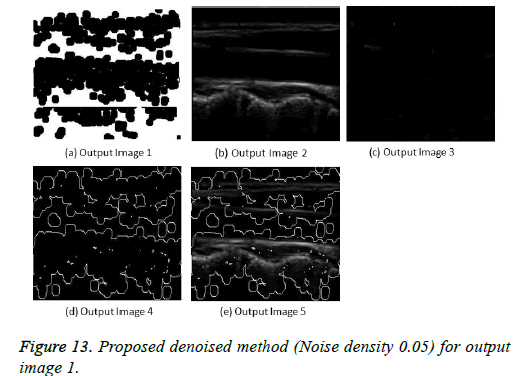 biomedres-output-image