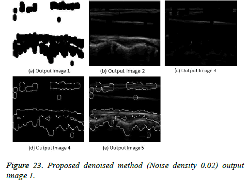 biomedres-output-image