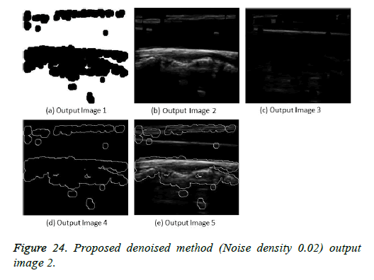 biomedres-output-image