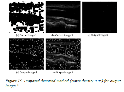 biomedres-output-image