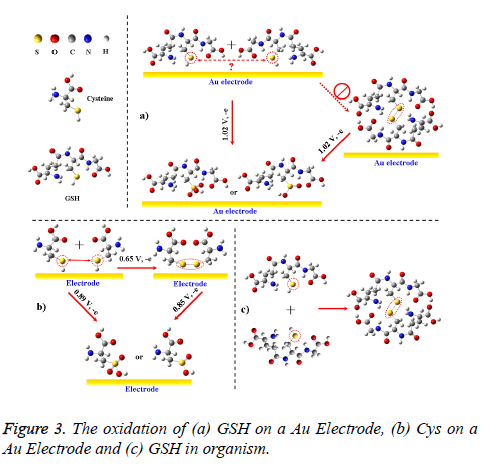 biomedres-oxidation