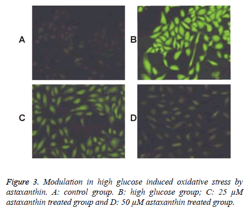 biomedres-oxidative-stress