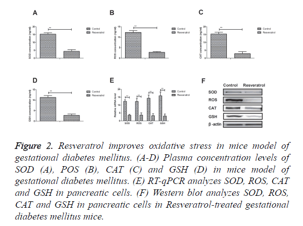 biomedres-oxidative-stress