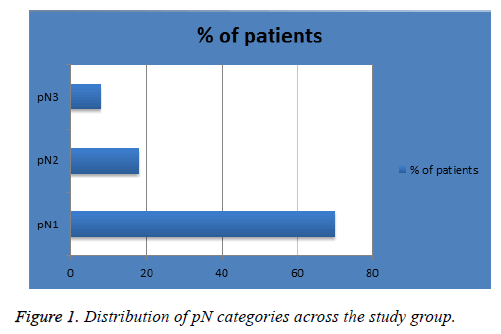 biomedres-pN-categories