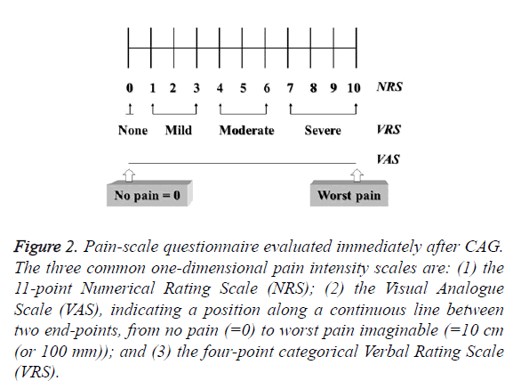 biomedres-pain-scale-questionnaire