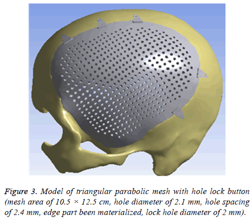 biomedres-parabolic-mesh