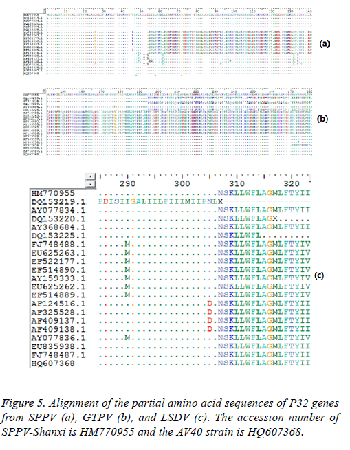 biomedres-partial-amino