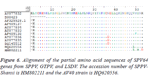 biomedres-partial-amino