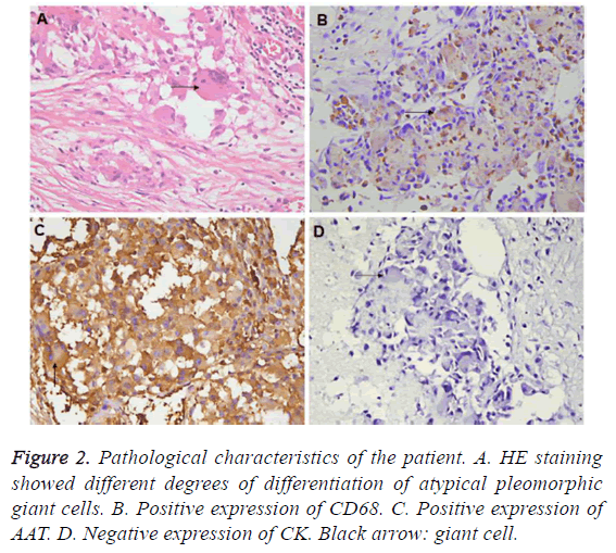 biomedres-pathological-characteristics