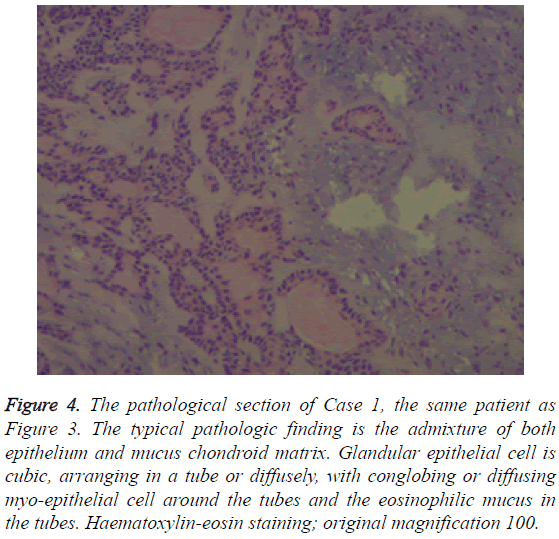 biomedres-pathological-section