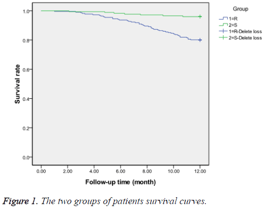 biomedres-patients-survival-curves