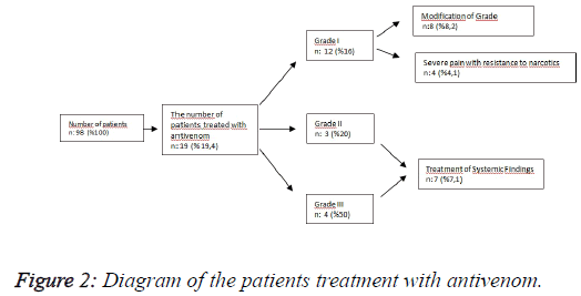 biomedres-patients-treatment-antivenom