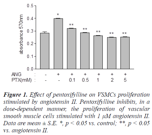 biomedres-pentoxifylline-VSMCs-proliferation