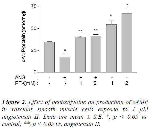 biomedres-pentoxifylline-production