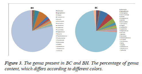 biomedres-percentage-genus