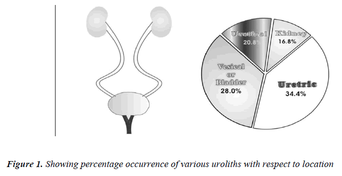 biomedres-percentage-occurrence-various-uroliths