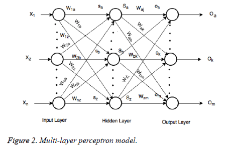 biomedres-perceptron-model