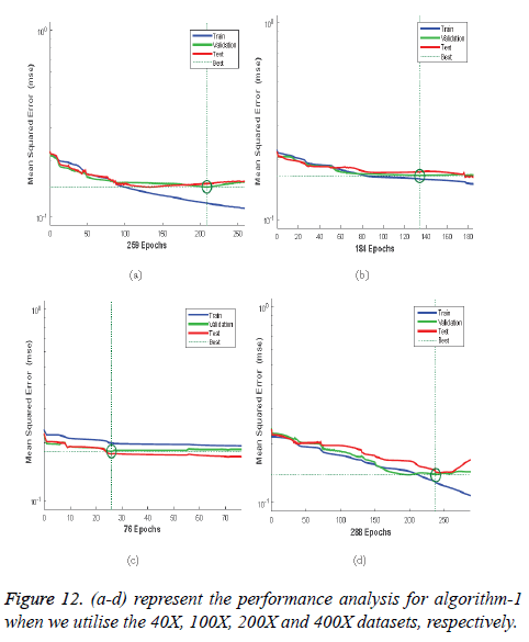 biomedres-performance-analysis