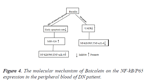 biomedres-peripheral-blood