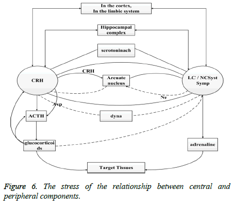 biomedres-peripheral-components