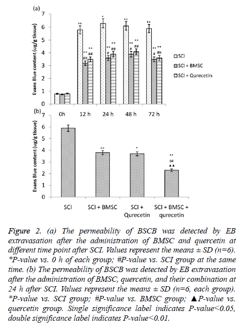 biomedres-permeability-BSCB