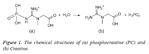 biomedres-phosphocreatine-Creatine