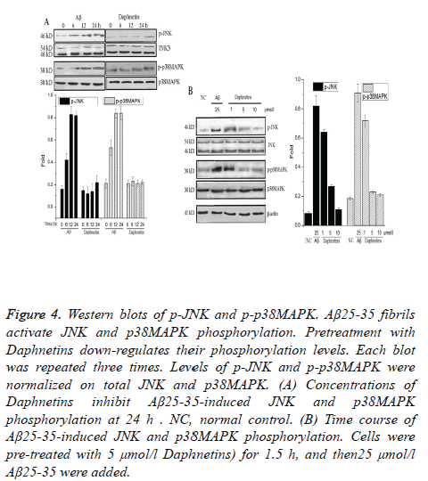 biomedres-phosphorylation-Pretreatment