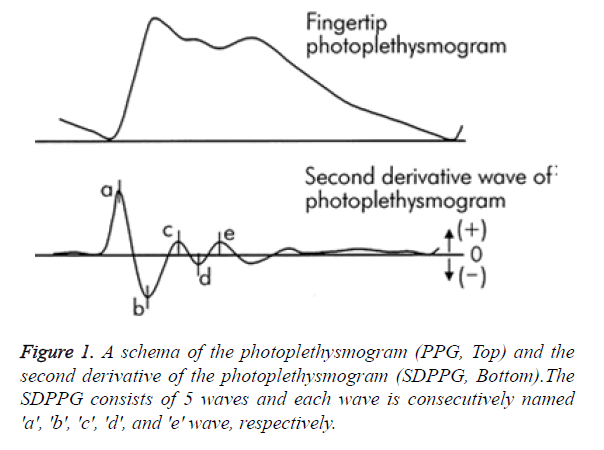 biomedres-photoplethysmogram