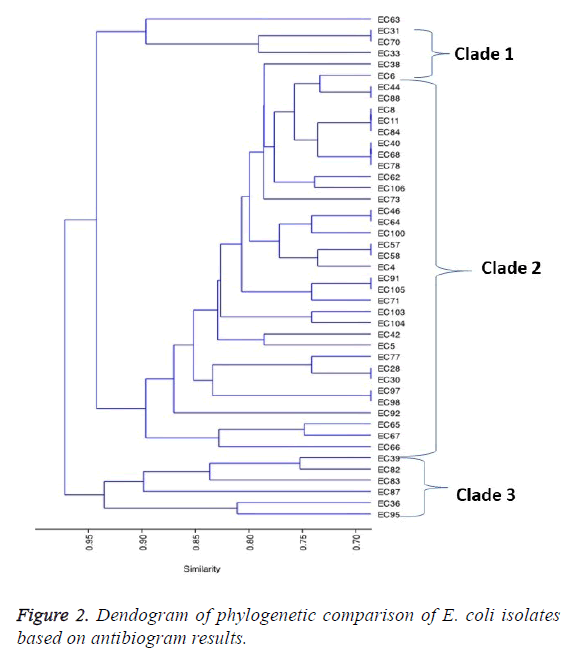 biomedres-phylogenetic-comparison