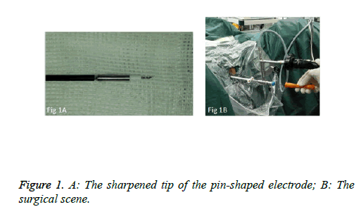 biomedres-pin-shaped-electrode
