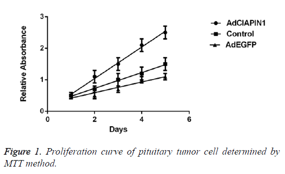 biomedres-pituitary-tumor