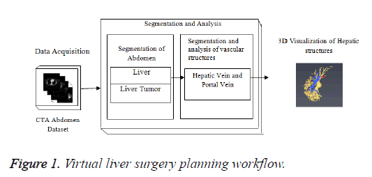 biomedres-planning-workflow