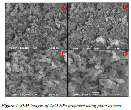 biomedres-plant-extract