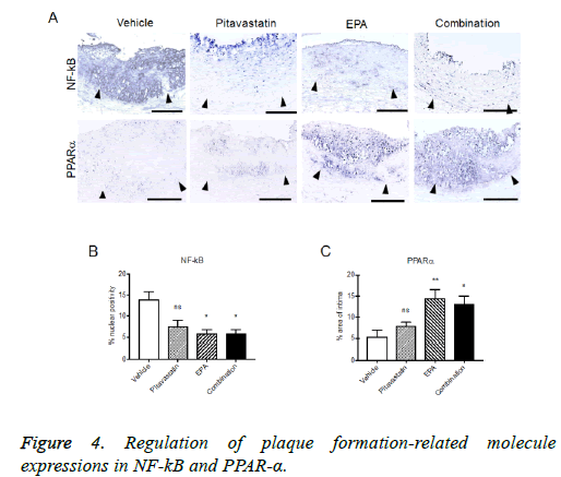 biomedres-plaque-expressions