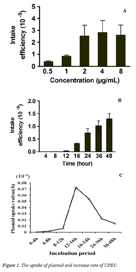 biomedres-plasmid-rate