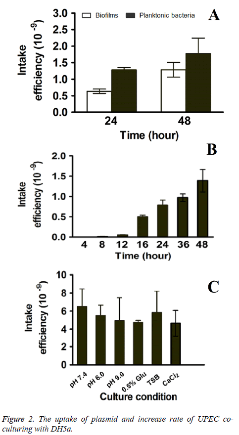 biomedres-plasmid-uptake