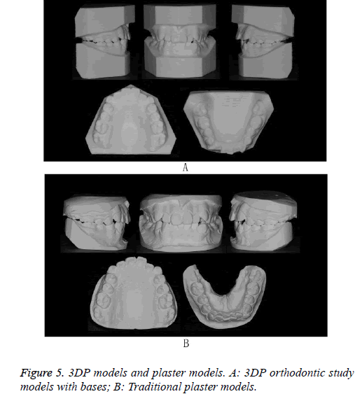 biomedres-plaster-models