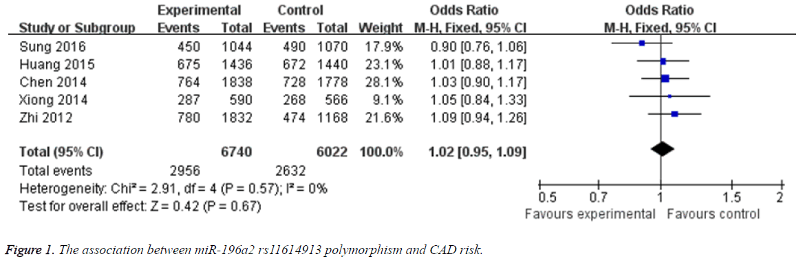 biomedres-polymorphism-CAD-risk