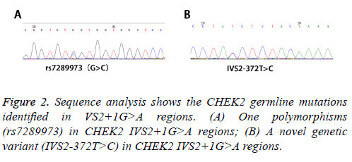 biomedres-polymorphisms-analysis