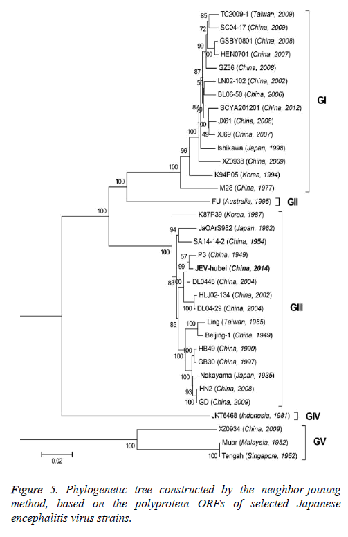 biomedres-polyprotein-Japanese