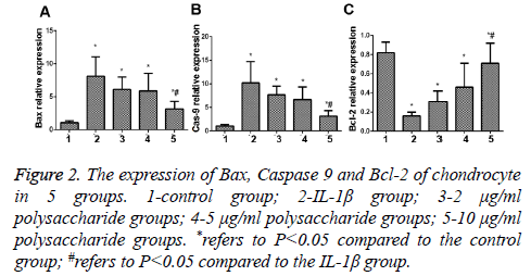 biomedres-polysaccharide-groups