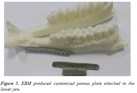 biomedres-porous-plate