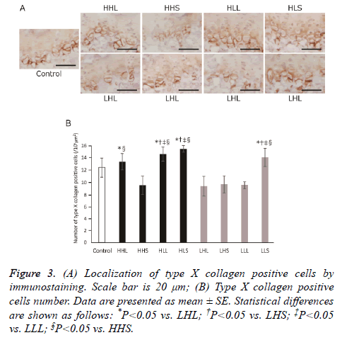 biomedres-positive-cells