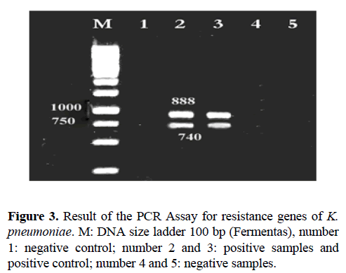 biomedres-positive-control