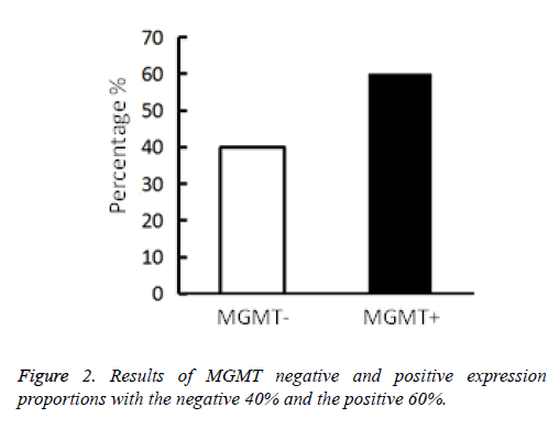 biomedres-positive-expression