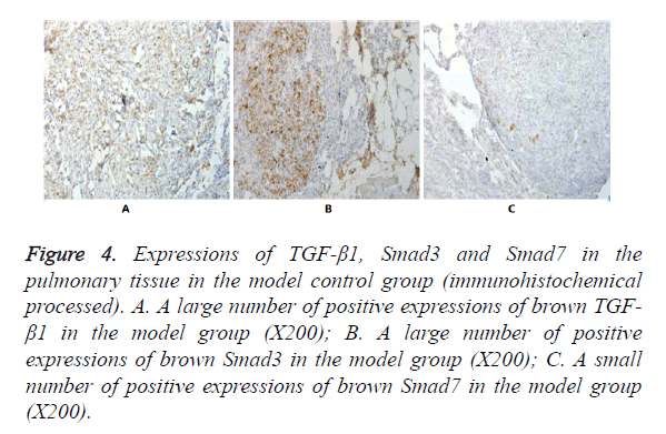 biomedres-positive-expressions