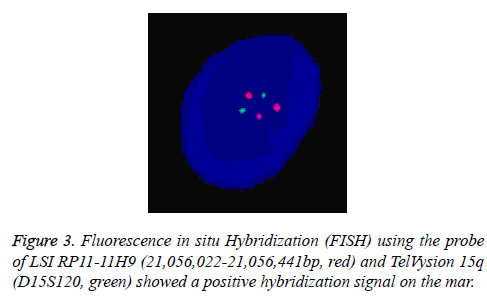 biomedres-positive-hybridization