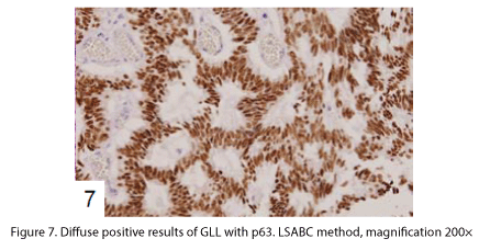 biomedres-positive-results