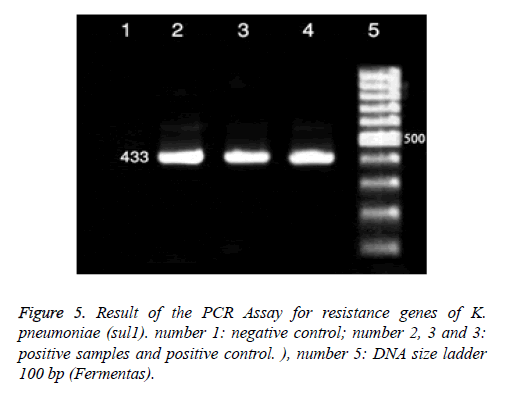 biomedres-positive-samples