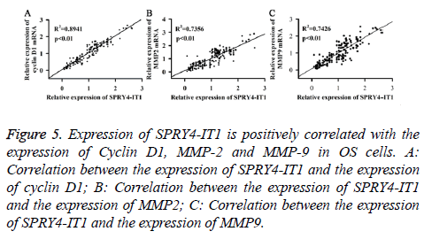 biomedres-positively-correlated